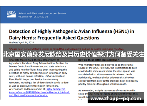 北京国安前身发展脉络及其历史价值探讨为何备受关注