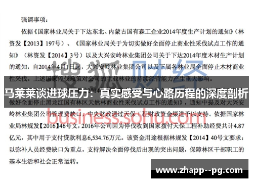 马莱莱谈进球压力：真实感受与心路历程的深度剖析