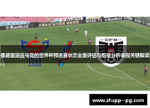 佩德里迎战马竞的世界杯预选赛状态全面评估与前景分析表现关键解读